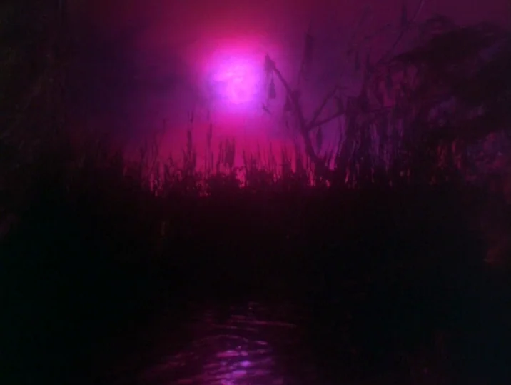 Twilight of the Ice Nymphs (1997) movie still: establishing — A dark swamp is silhouetted against a bright magenta sky featuring a full moon. Tall…