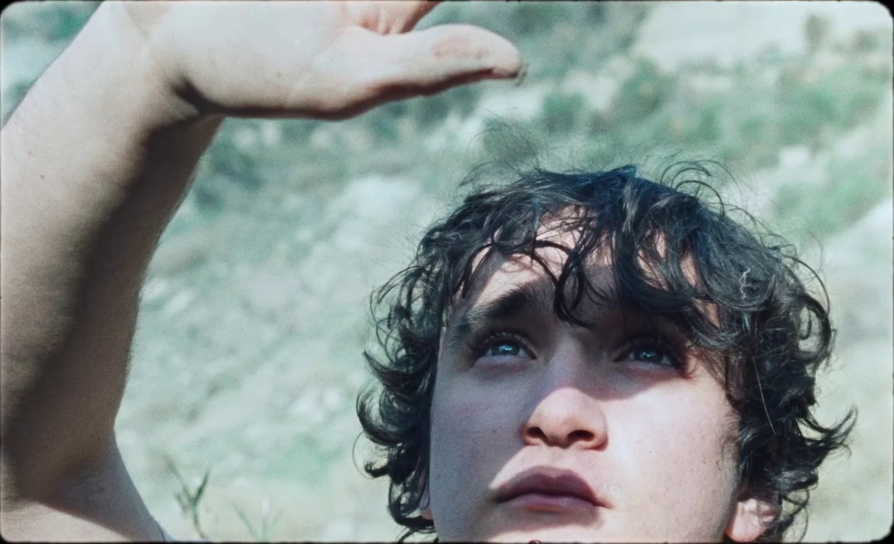 Happy as Lazzaro (2018) movie still: closeup — A person stands in a grassy outdoor area with soft natural light. The subject looks up while holding…