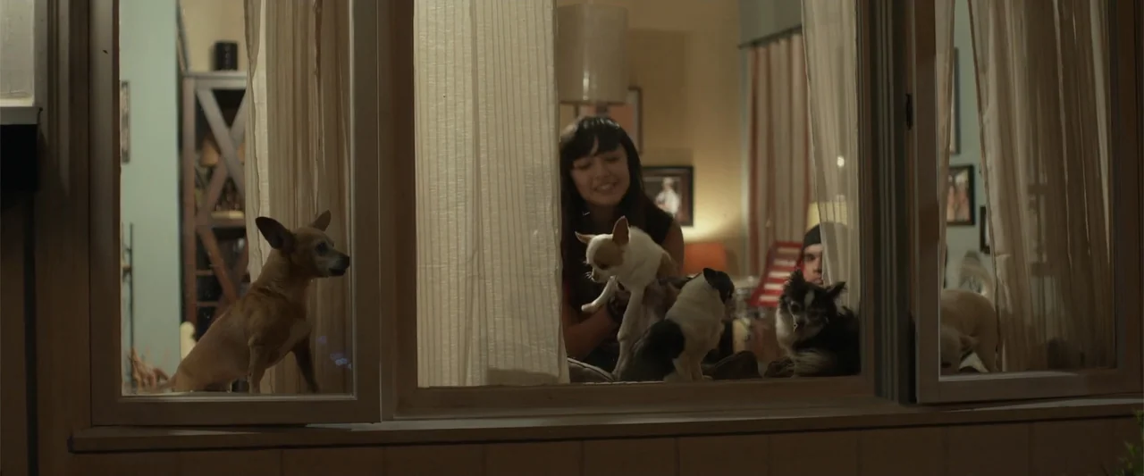 Max (2002) movie still: medium — A view through a multi-pane house window into a warm, lived-in interior space. A young woman sits near the curtain…