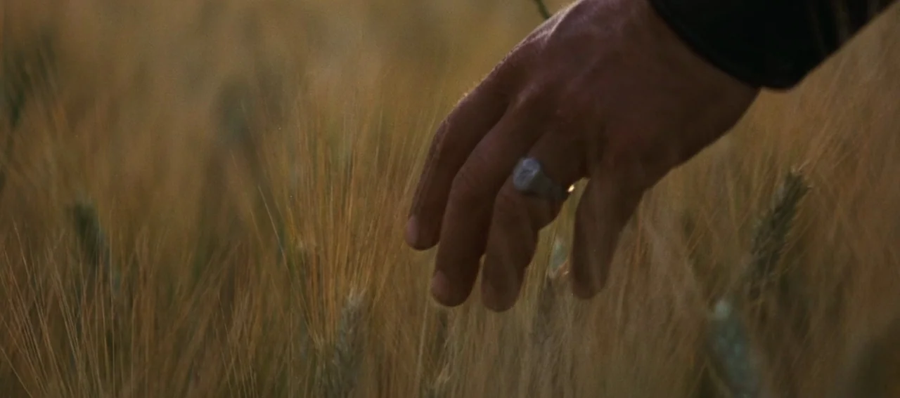Gladiator (2000) movie still: closeup — A field of mature golden wheat fills the frame under soft natural lighting. A single human hand reaches down…