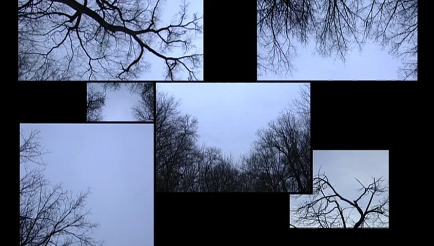 The Tracey Fragments (2007) movie still: establishing — A collage of multiple viewpoints showing leafless tree branches against a pale overcast sky.…