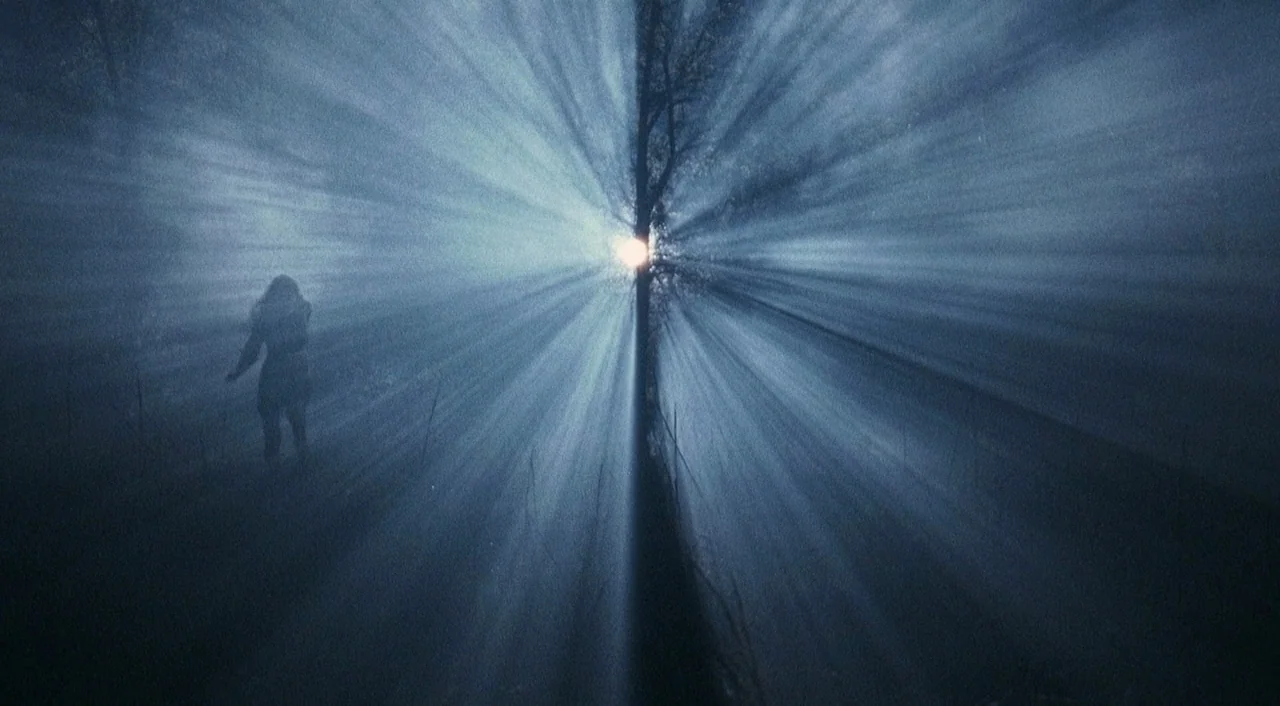 Halloween 2 (2009) movie still: wide — A dark, foggy landscape features a lone silhouetted figure walking beside a large tree. Intense light beams…