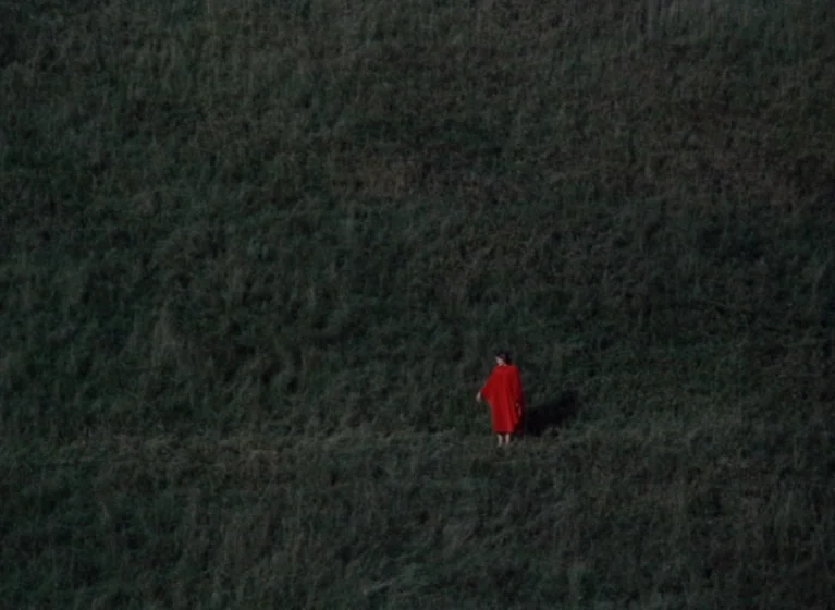 Fruit of Paradise (1970) movie still: wide — A dark, grassy hillside covered in tall, textured vegetation fills most of the frame. A single person…