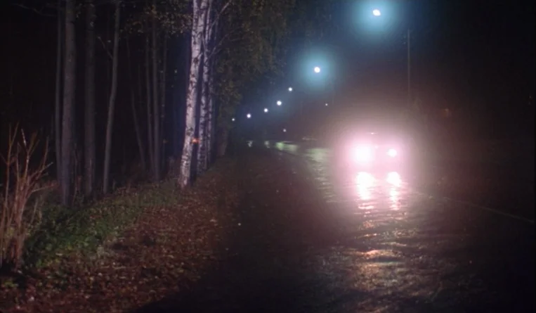 The Turn of the Century (2001) movie still: wide — A wet asphalt road at night runs alongside a dense row of tall trees. A car approaches with its…