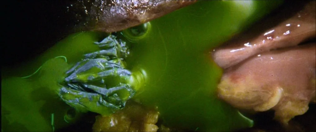 Three Kings (1999) movie still: closeup — A close-up view shows a bright green, thick liquid pooling over dark textured organic material. A folded…
