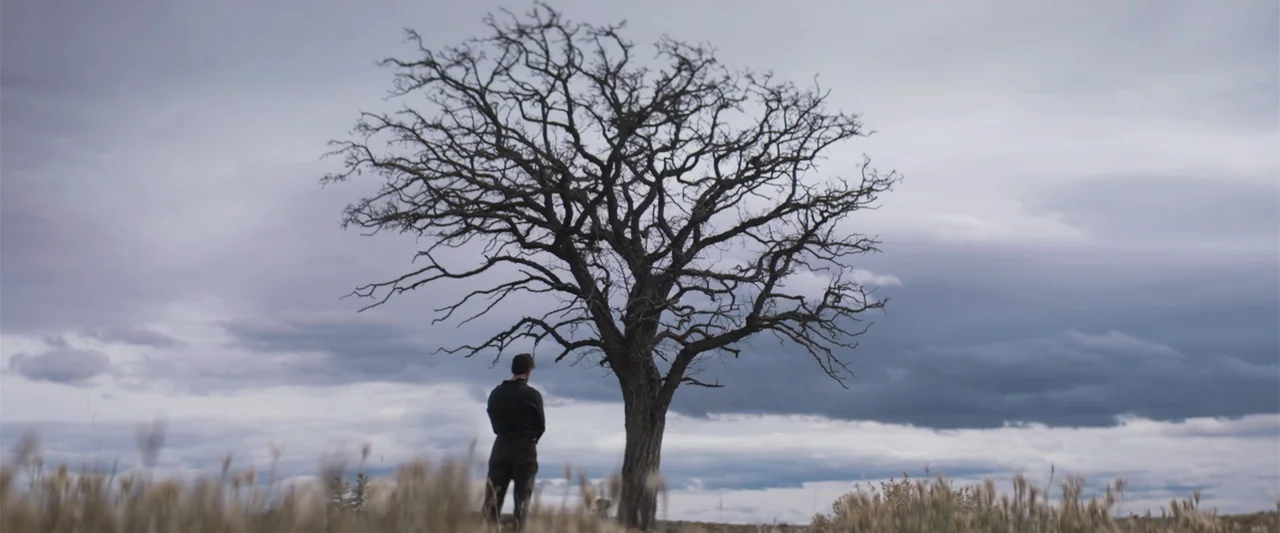 The Wind (2005) movie still: fullbody — A wide, barren field features a lone, large, leafless tree under a cloudy sky. A man stands silently with…