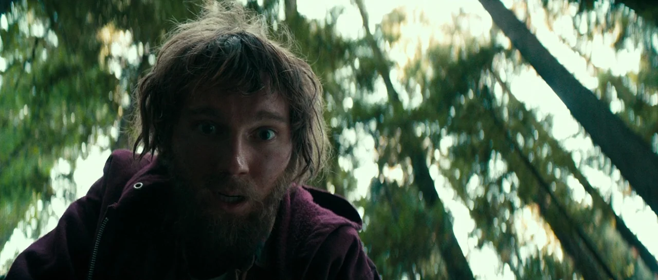 Swiss Army Man (2016) movie still: medium — A dense patch of trees is visible with tall trunks and leafy foliage overhead. A man with unkempt hair…
