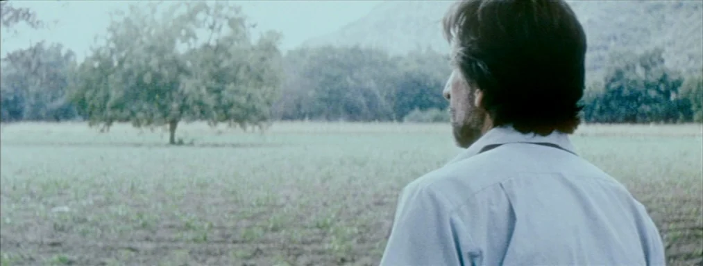 Japón (2002) movie still: medium — An open grassy field stretches toward a line of trees under an overcast sky. A man in a blue shirt stands in the…