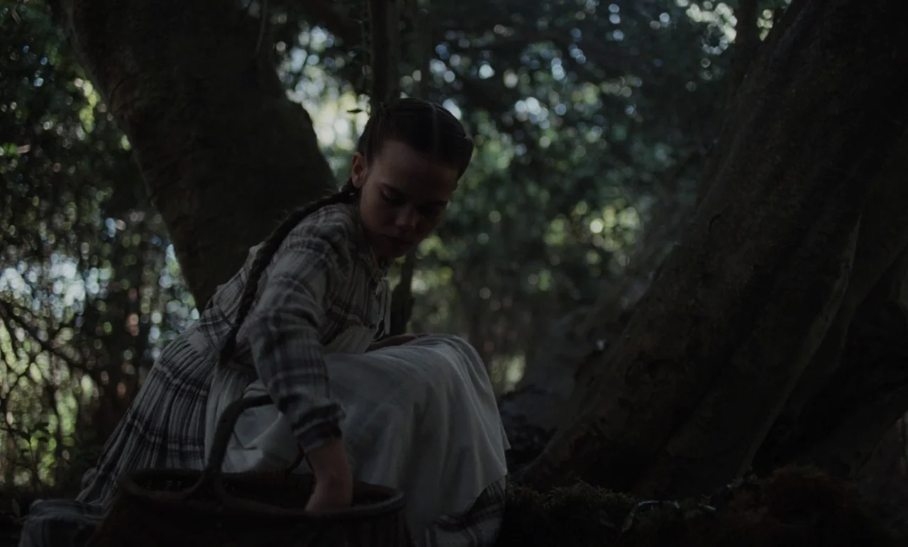 The Beguiled (2017) (2017) movie still: medium — A girl in a period dress sits between two large mossy tree trunks. She reaches her hand down into a…
