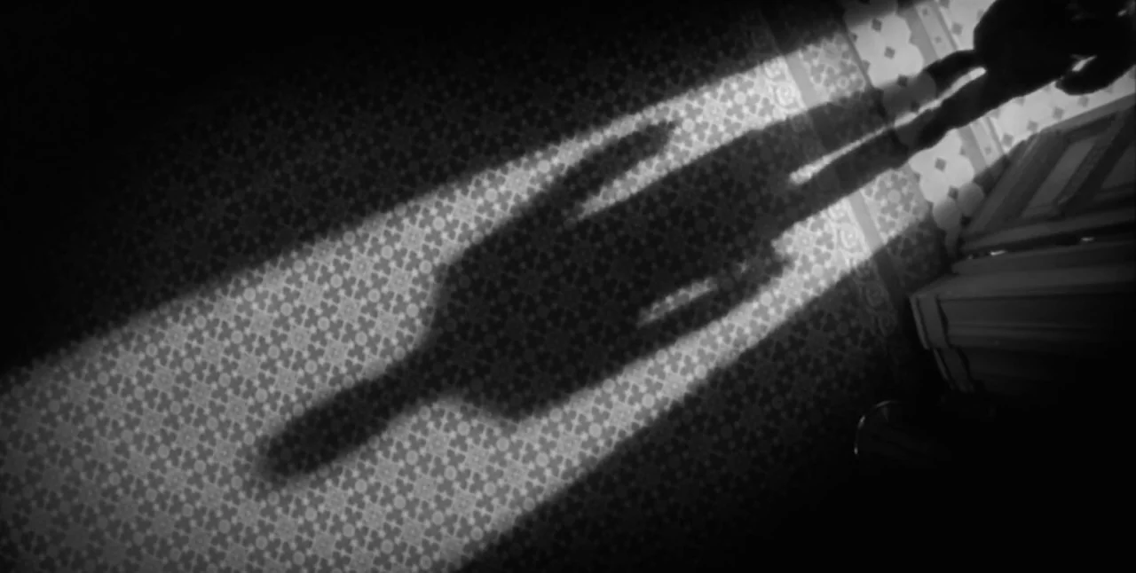 The Aerial (2007) movie still: wide — A high-angle view shows a patterned floor covered in intricate geometric motifs. A prominent human shadow…