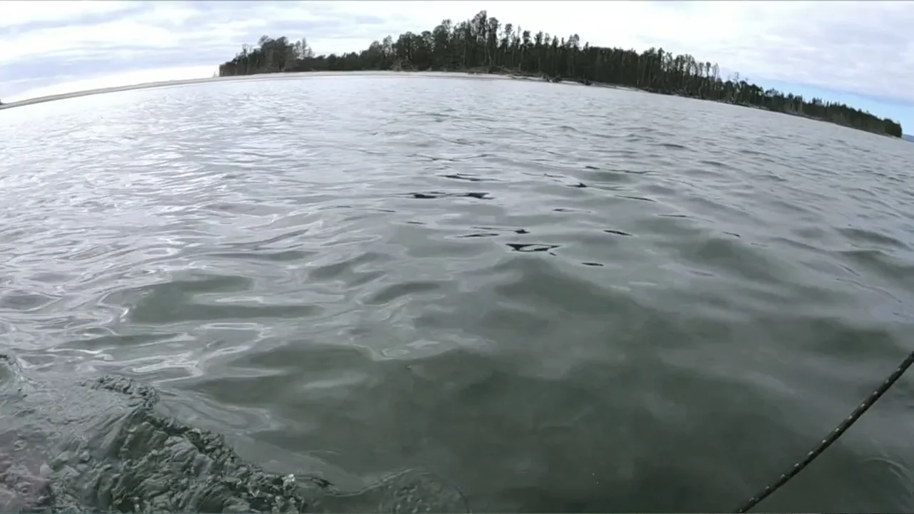 Jaws in the Shallows (2023) movie still: establishing — A wide expanse of dark water stretches toward a tree-lined shore under clouds. The surface…