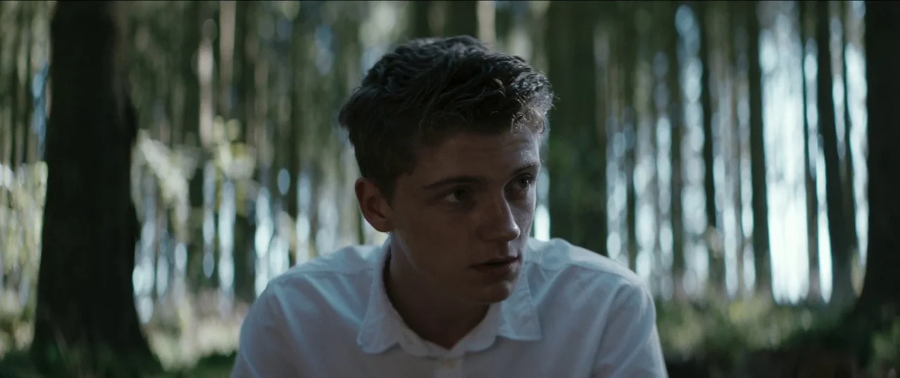 Good Favour (2017) movie still: medium — A young man stands in a dense, cool-toned forest filled with tall, vertical tree trunks. The subject is…
