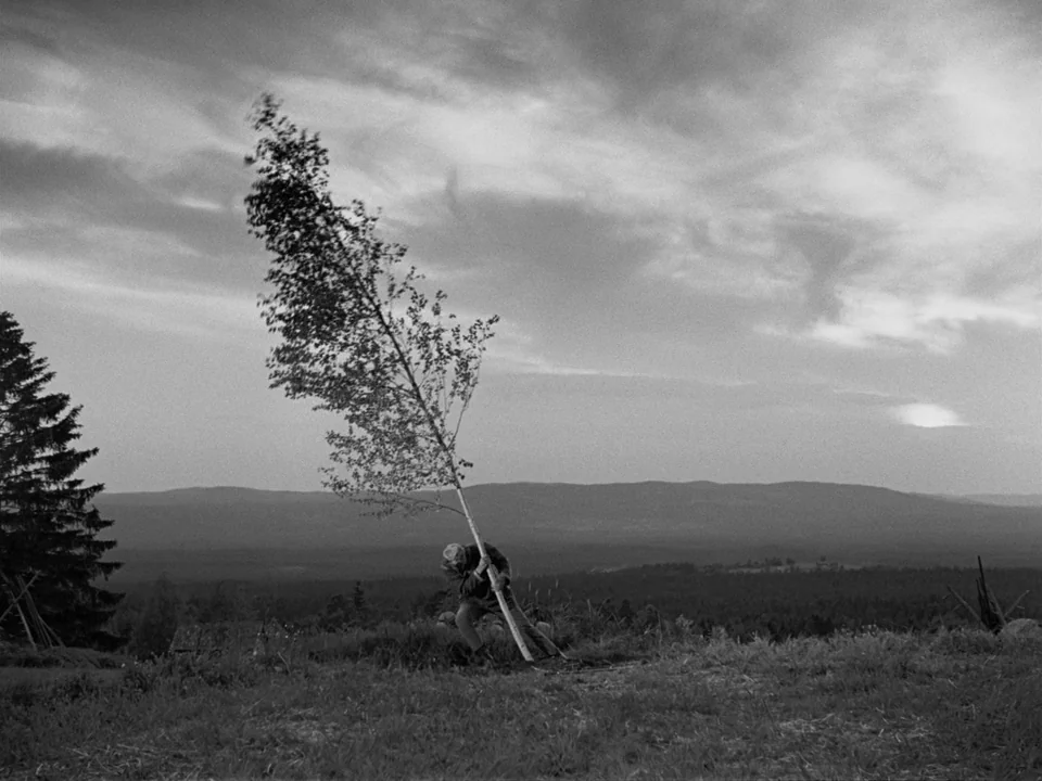 The Virgin Spring (1960) movie still: wide — A man stands on a grassy hillside under a large, cloudy sky. He leans his body weight against a…