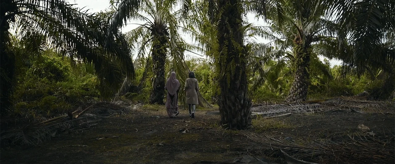 The Kleptocrats (2018) movie still: wide — A dense grove of oil palm trees features fallen fronds covering the dark earth. Two individuals wearing…