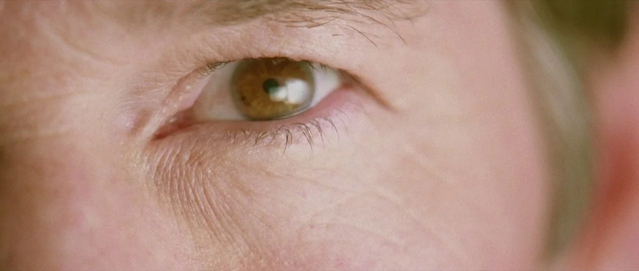 The Mothman Prophecies (2002) movie still: closeup — A extreme close-up of a human eye with visible skin pores and iris detail. The subject is…