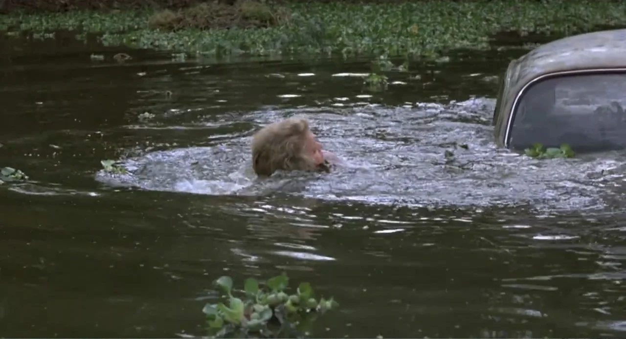Firewalker (1986) movie still: medium — A murky body of water is filled with dense floating aquatic vegetation. A man swims through the water near…
