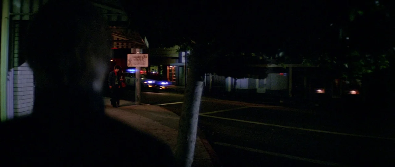 Halloween II (1981) movie still: wide — A dark night street is illuminated by distant vehicle lights and low street lamps. An out-of-focus…