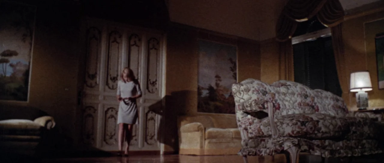 Orgasmo (1969) movie still: wide — An expansive room features ornate wall panels and traditional landscape artwork with yellowed walls. A lone…