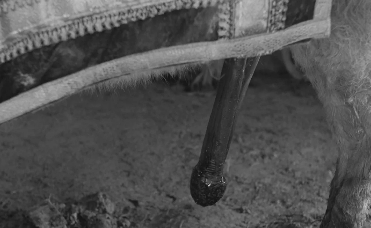 Hard To Be A God (2013) movie still: closeup — An ornate wooden table leg with carved detailing rests on dry, uneven dirt. A textured fabric hangs…