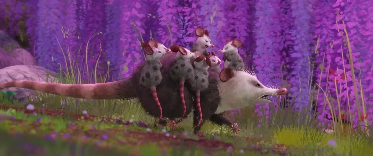 The Wild Robot (2024) movie still: fullbody — A field of vibrant purple wisteria flowers grows in the background of a meadow. A large adult opossum…