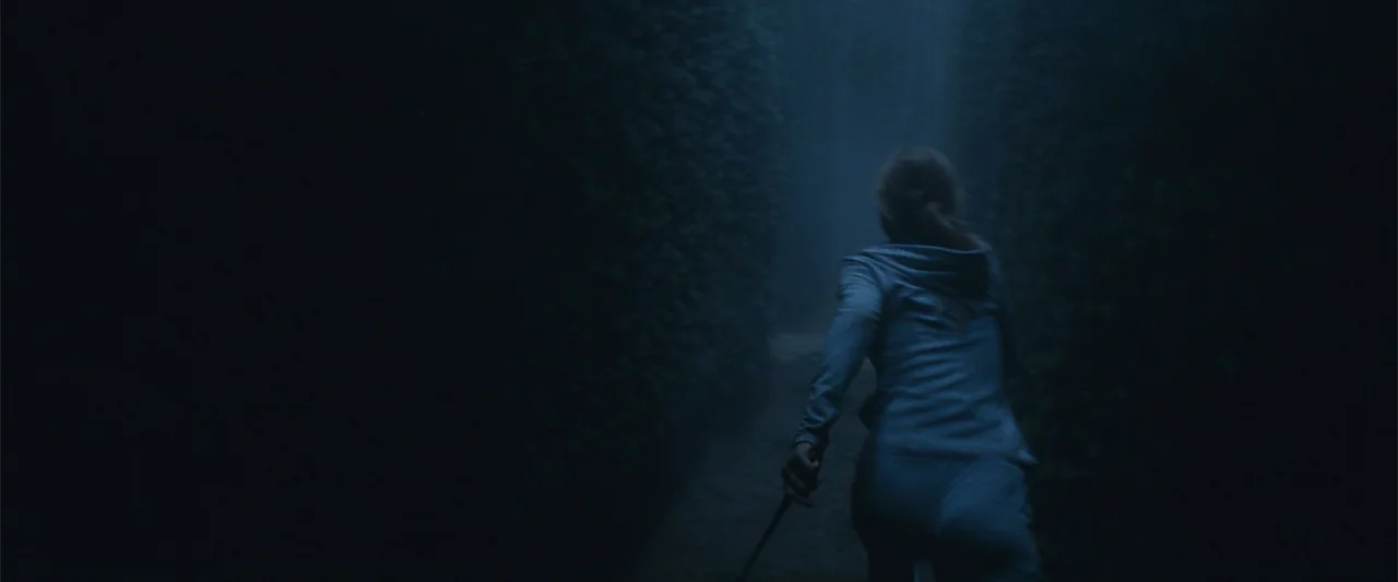 Harry Potter and the Goblet of Fire (2005) movie still: medium — A dark outdoor space enclosed by tall, thick hedges forming a narrow pathway. A…