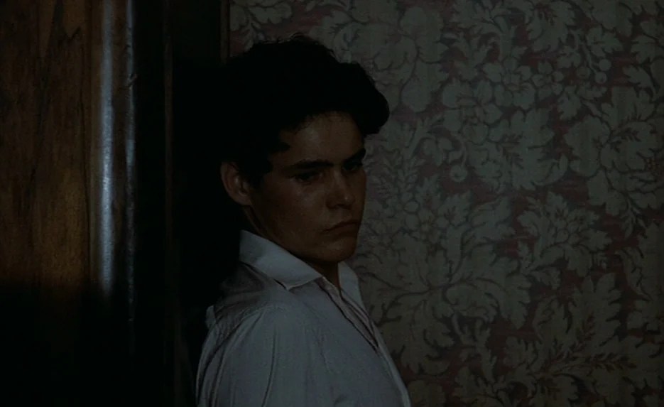 Lacombe, Lucien (1974) movie still: medium — A dimly lit narrow space features walls covered in traditional, faded floral pattern wallpaper. A young…