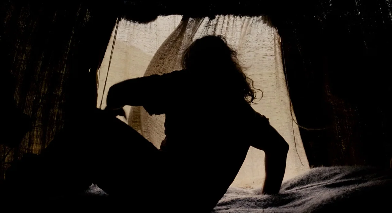 Noah (2014) movie still: medium — A dark tent interior features a person silhouetted against a translucent hanging fabric sheet. The person sits on…