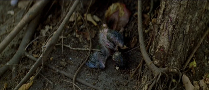 The Thin Red Line movie still: closeup — A small bird lies dead on the dirt surrounded by twigs and tree roots. The textured bark of a large tree…