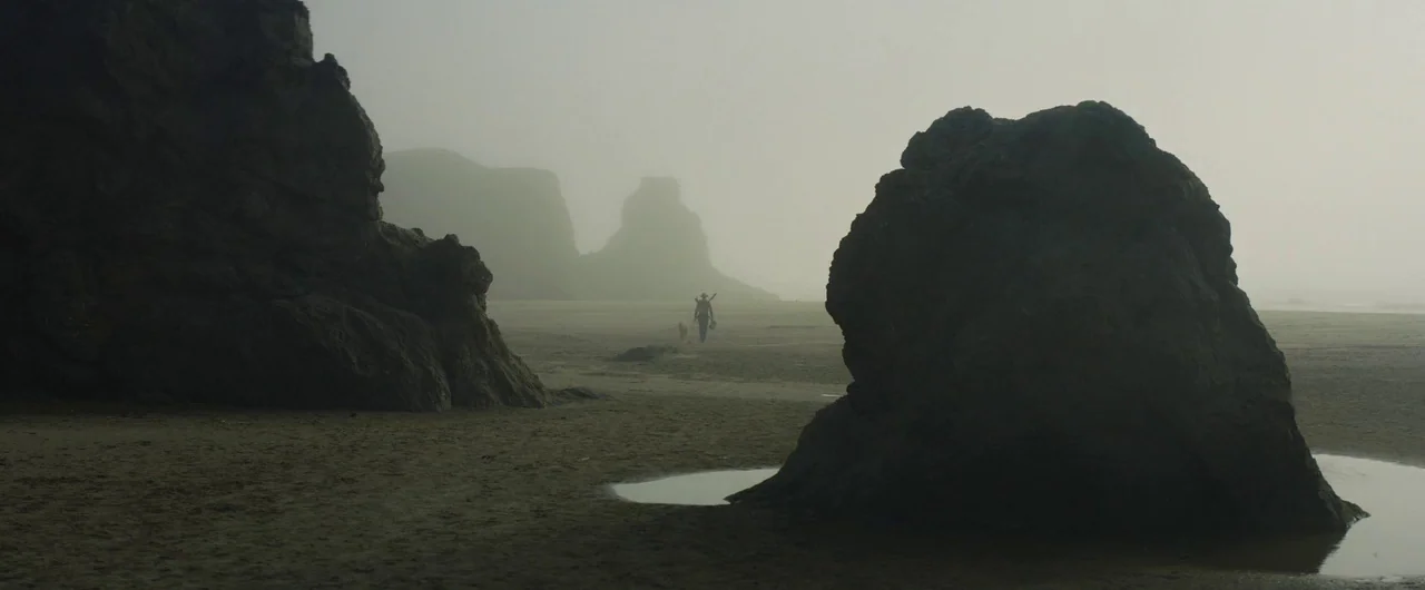 Damsel (2018) movie still: wide — A vast, fog-shrouded coastal beach features large jagged rock formations in the foreground. A lone figure and…