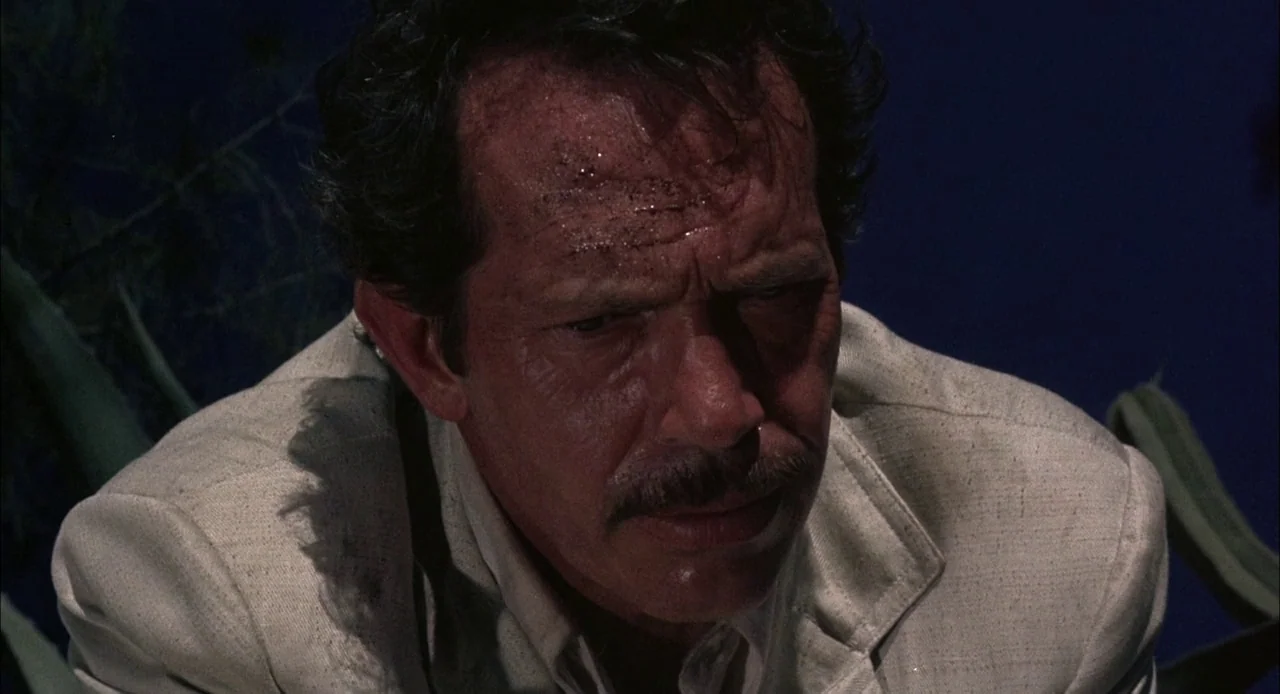 Bring Me The Head of Alfredo Garcia (1974) movie still: closeup — A dark outdoor environment with blurred desert flora visible in the background at…