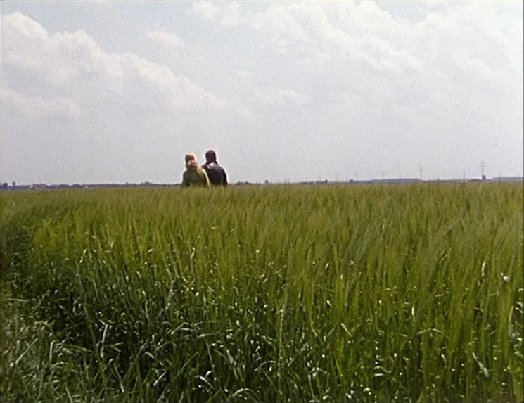 The Niklashausen Journey (1970) movie still: wide — A vast green wheat field extends toward a distant horizon under a cloudy sky. Two people walk…