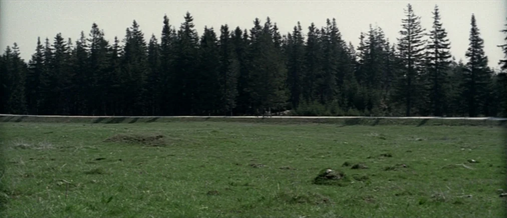 Time Of The Wolf (2003) movie still: establishing — A vast, green meadow sits in the foreground with uneven, mossy terrain. Behind it, a dense line…