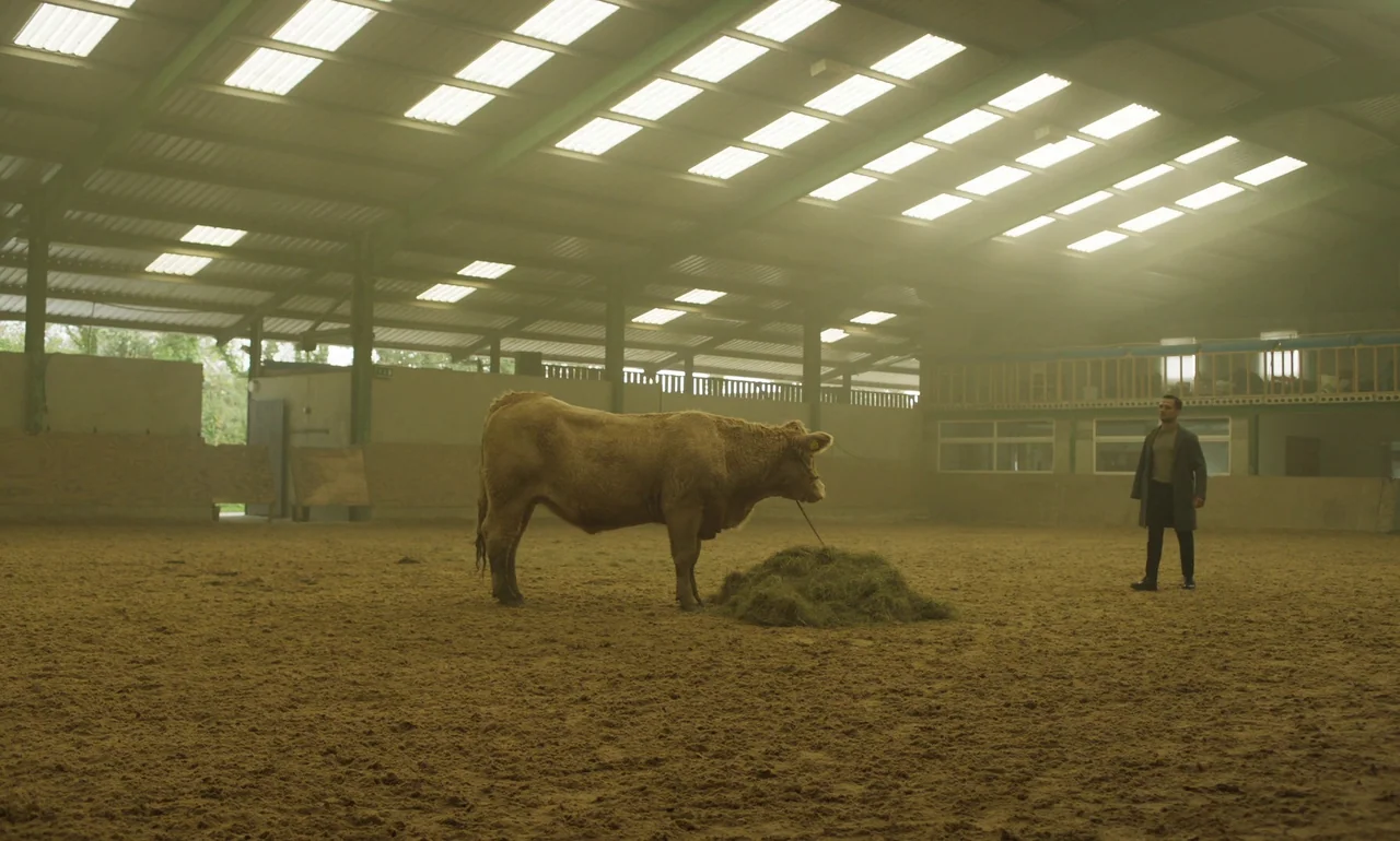 It Is In Us All (2022) movie still: wide — A spacious, sandy indoor riding arena with a large metal-trussed roof and diffused light. A man in an…