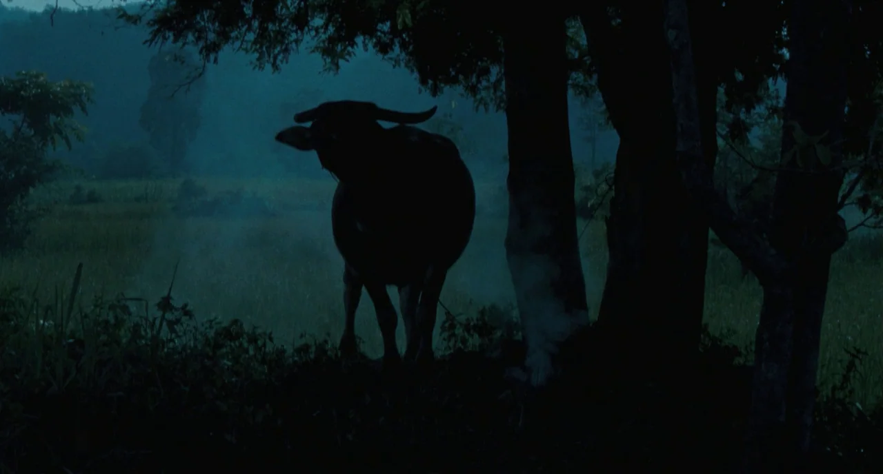 Uncle Boonme Who Can Recall His Past Lives (2010) movie still: medium — A dark water buffalo stands under the branches of a tree at nightfall. Low…