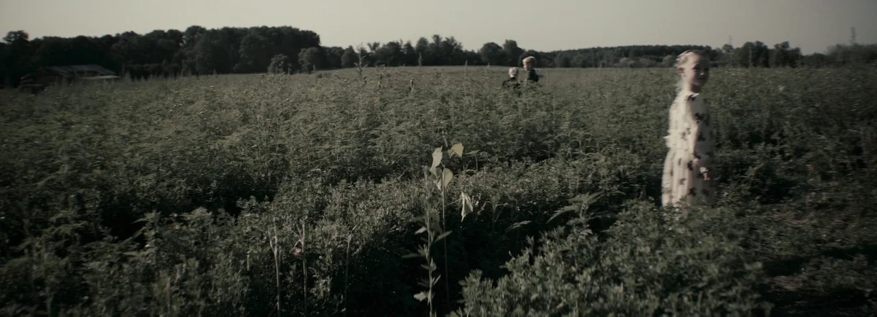 Women Talking (2022) movie still: wide — A vast field of tall, unkempt green plants stretches toward a line of trees. A young child in a floral…