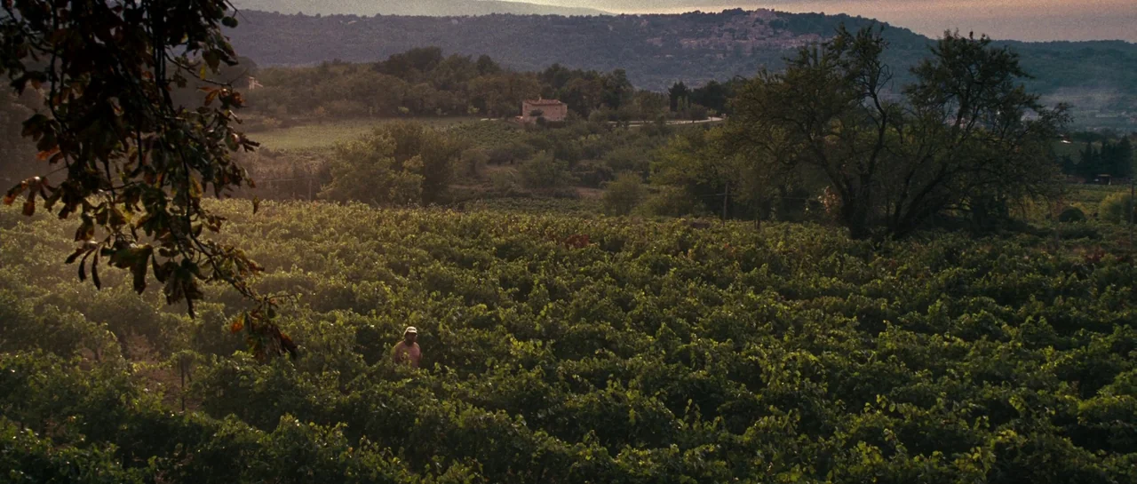 A Good Year (2006) movie still: wide — A vast vineyard stretches across a hilly landscape under golden hour light. A lone man stands in the rows of…