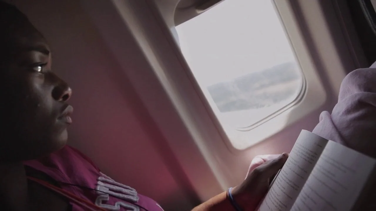 T-Rex (2015) movie still: medium — A passenger sits in an airplane seat next to a bright rectangular window. The person is reading an open book…