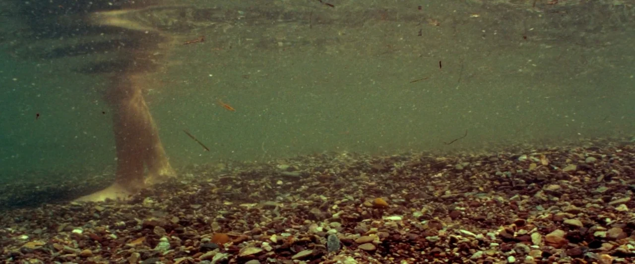Piranha 3D (2010) movie still: wide — An underwater view reveals the murky, pebble-covered bottom of a shallow river or stream. The lower legs of a…