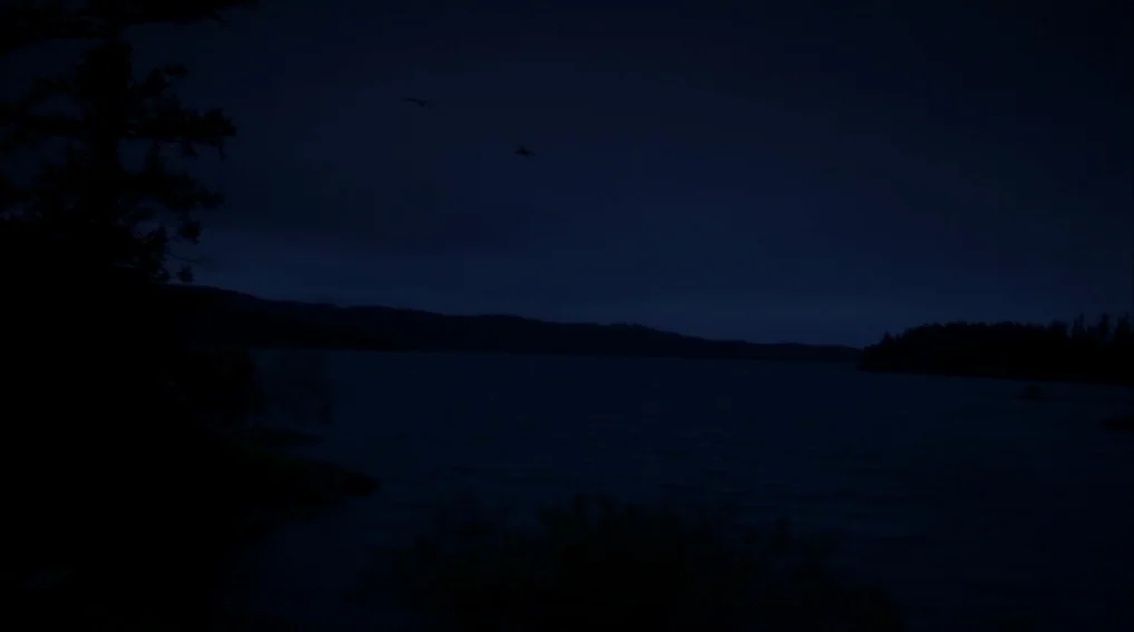 Your Sister’s Sister (2011) movie still: establishing — A dark body of water is bordered by forested hills under a night sky. Two small birds are…