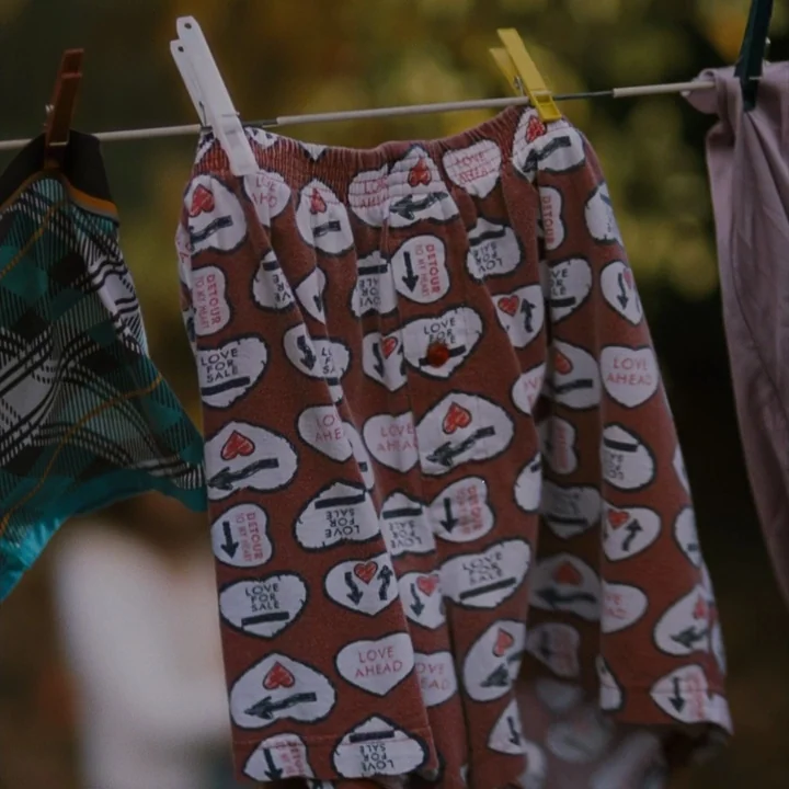 Mommy (2014) movie still: closeup — A pair of patterned boxers hangs from a wire clothesline against a blurred background. The fabric features a…