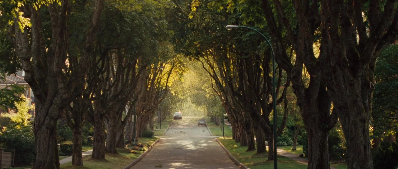 Rise of the Planet of the Apes (2011) movie still: establishing — A quiet suburban street is framed by two long rows of tall mature trees. The low…