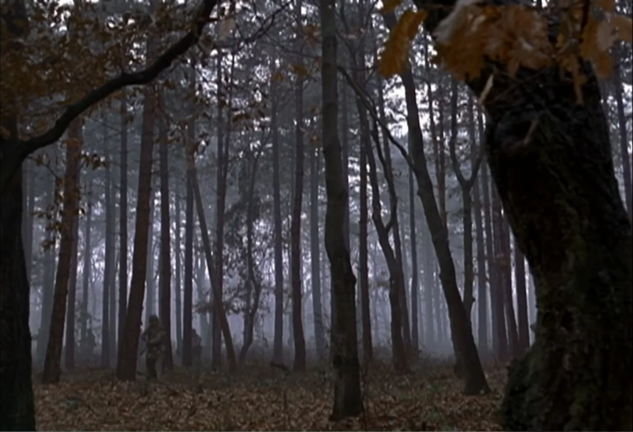 When Trumpets Fade (1998) movie still: wide — A dense stand of tall, thin trees fills a misty, leaf-covered woodland. Several figures in camouflage…