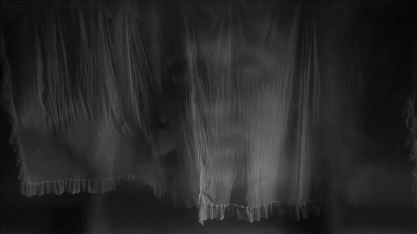 Keyhole (2011) movie still: closeup — A dark indoor space features a translucent white lace curtain covering a human face. The person lies flat…
