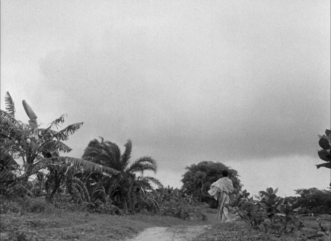 Aparajito (1956) movie still: wide — A rural path winds through dense tropical foliage under a thick overcast sky. A person draped in white cloth…