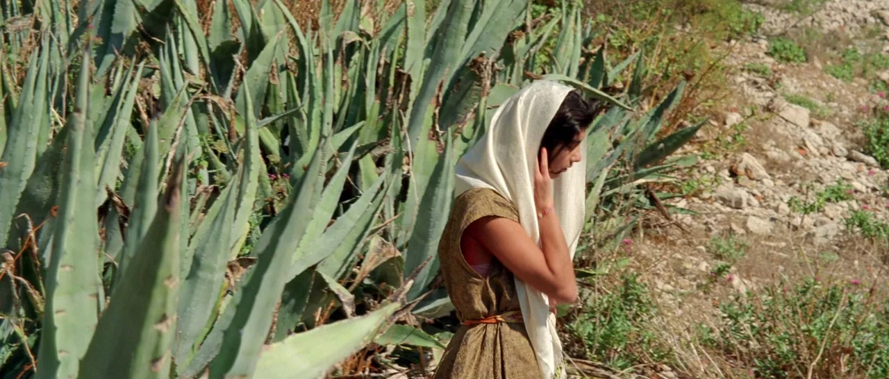 Arabian Nights: Volume 1 – The Restless One (2015) movie still: medium — A dry, rocky hillside is densely populated with large, sharp-edged agave…