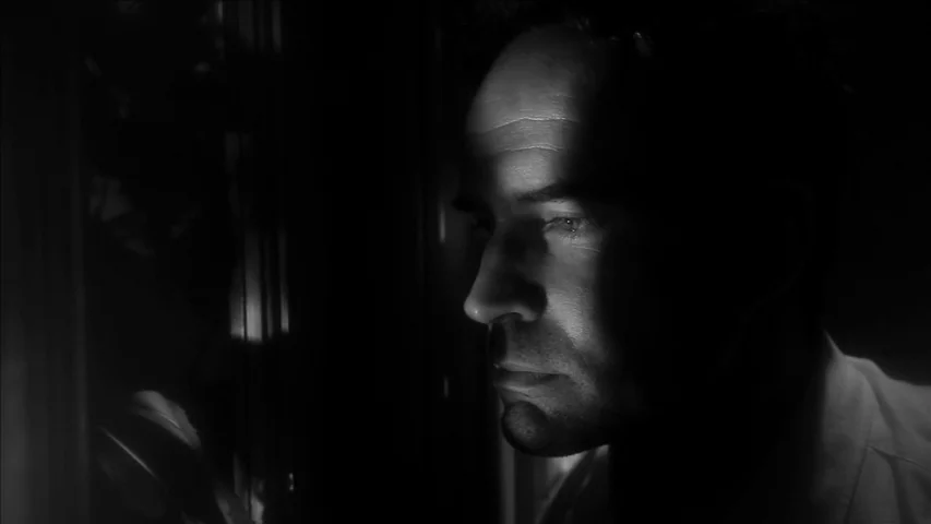 Keyhole (2011) movie still: closeup — A man's face is partially illuminated by light filtering through a vertical window frame. He looks intently…