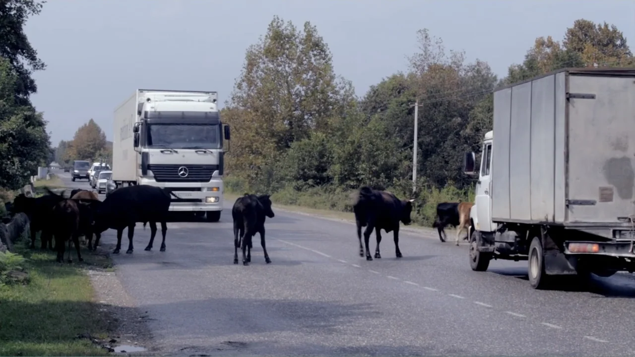 Letters to Max (2014) movie still: wide — A rural highway features a white semi-truck and a box truck stopped on asphalt. Several dark-colored…