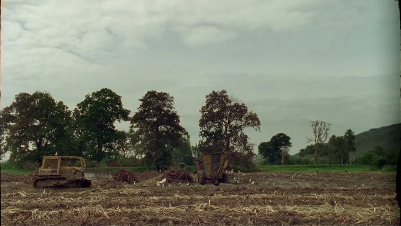 Cut (2000) movie still: wide — A vast, harvested agricultural field features a yellow bulldozer and machinery amidst cut vegetation. Tall trees line…
