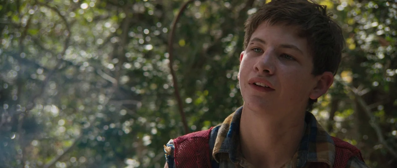 Joe (2013) movie still: closeup — A teenage boy stands in a dense area of trees with dappled sunlight. He looks off-camera with a neutral expression…
