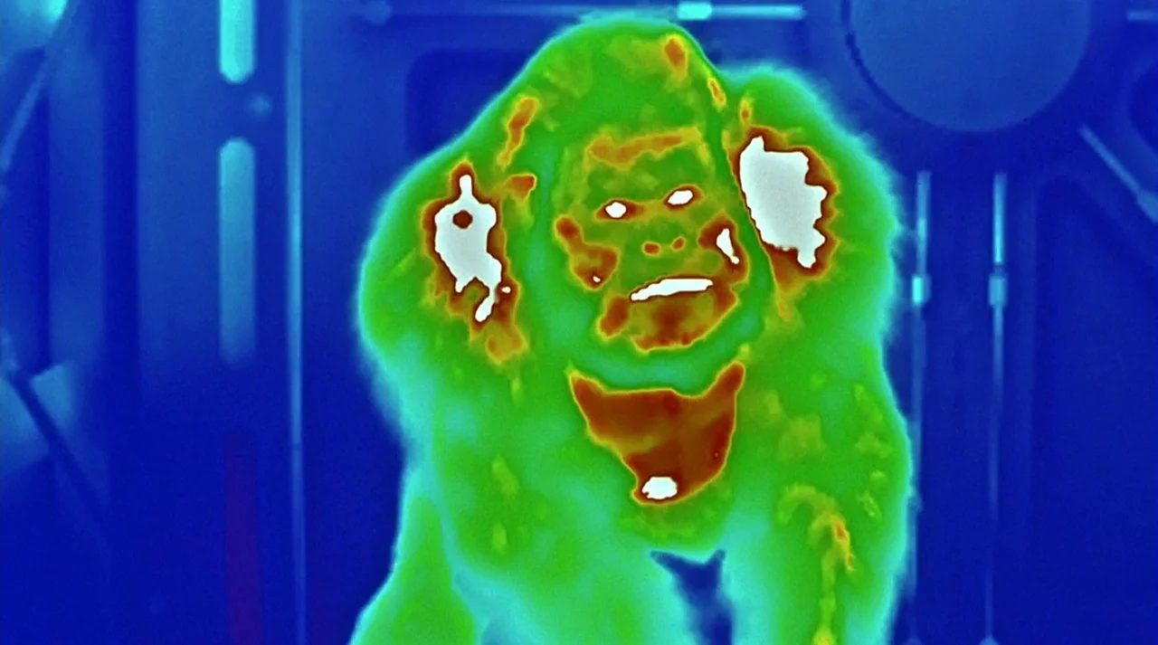 Hollow Man (2000) movie still: medium — A thermal imaging view shows a primate standing within a metallic, possibly industrial, corridor. The…